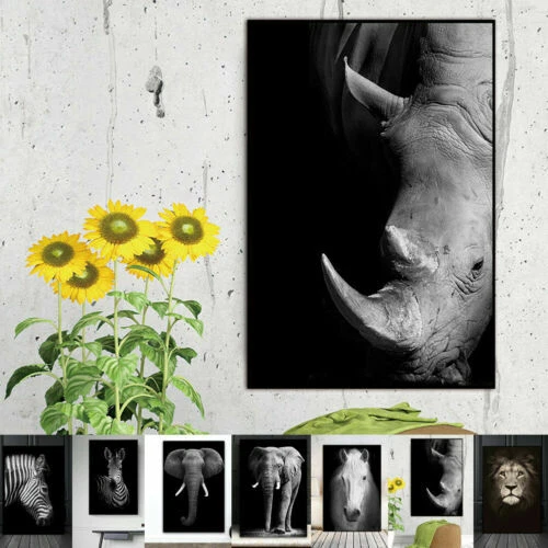 Living Room Decorative Paintings