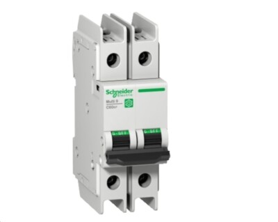 Schneider M9F43206 Multi 9 C60BP 6A Bipolar Kurve D