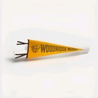  Vintage Woodridge Wildcats Pennant Banner Souvenir School Sports Felt 