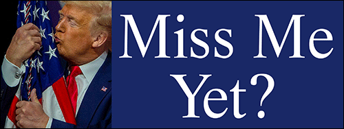 Miss Me Yet Trump 2024 Patriot American Bumper Sticker Made In USA - Foto 7