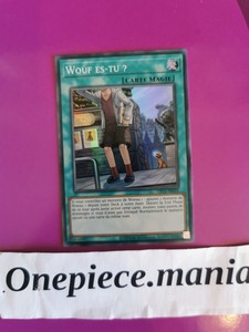 Yu Gi Oh Wouf Es Tu Op13 Fr010 Ebay