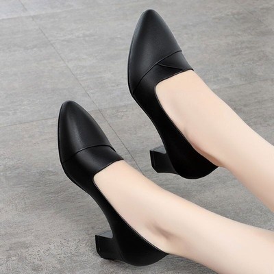 Spring Autumn Women Pump Pointed Toe Mid Thick Heel High Heels Office Lady Shoes