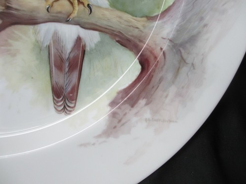 MINTON CHINA ,HAND PAINTED GOSHAWK  PLATE ,SIGNED BY R.A SHUFFLEBOTHAM ,VGC - Picture 6 of 8