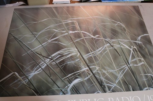 VINTAGE NPR "Minnesota Public Radio 1983" Nature Landscape Photo Print Poster - Picture 5 of 7