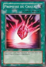 Yu-Gi-Oh: Promise of the Crystal - DP07-FR016 - Commune - NM - FR