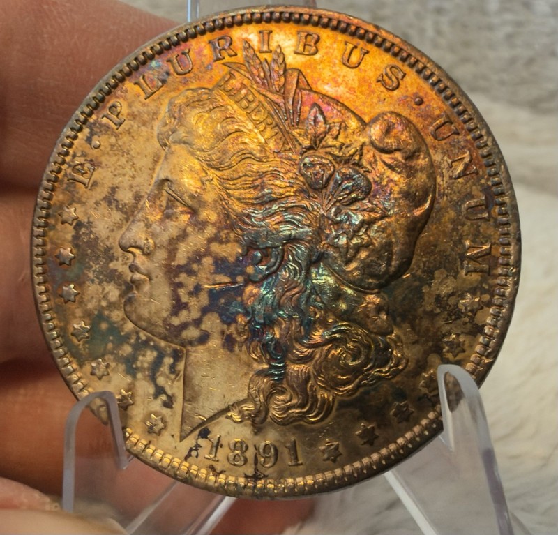 1891 MORGAN DOLLAR GEM BU PROOF LIKE RAINBOW TONED OBVERSE TEXTILE TONING