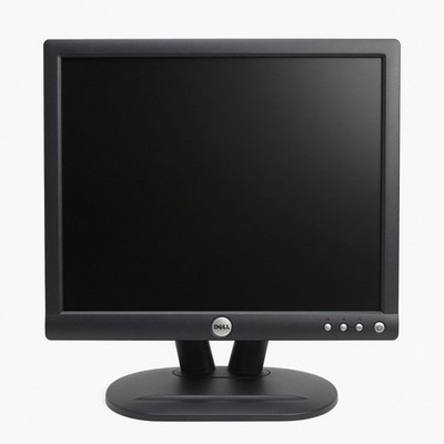 Vintage Dell 17'' Flat Color Monitor (E172FPb) TESTED