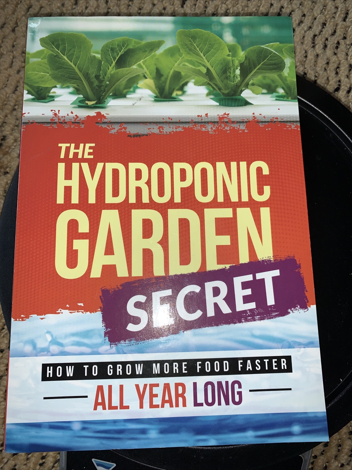 Unlock the Secrets: Best Plants to Grow Hydroponically