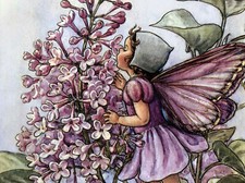 570 Images of Angels, Fairies and Elves On CD...
