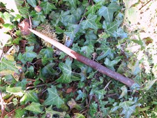 Hand crafted Hawthorn Wand made from ethically sourced wood. Hauth.