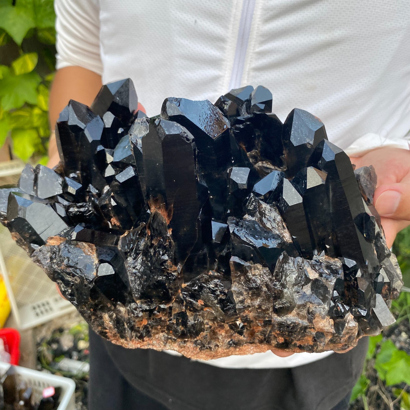 7.1lb Natural Black Smoky Quartz Crystal Cluster for Healing Tariff-Free