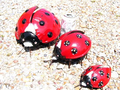 THREE Metal art Ladybug sculptures, Junk Iron Art, Garden Yard art