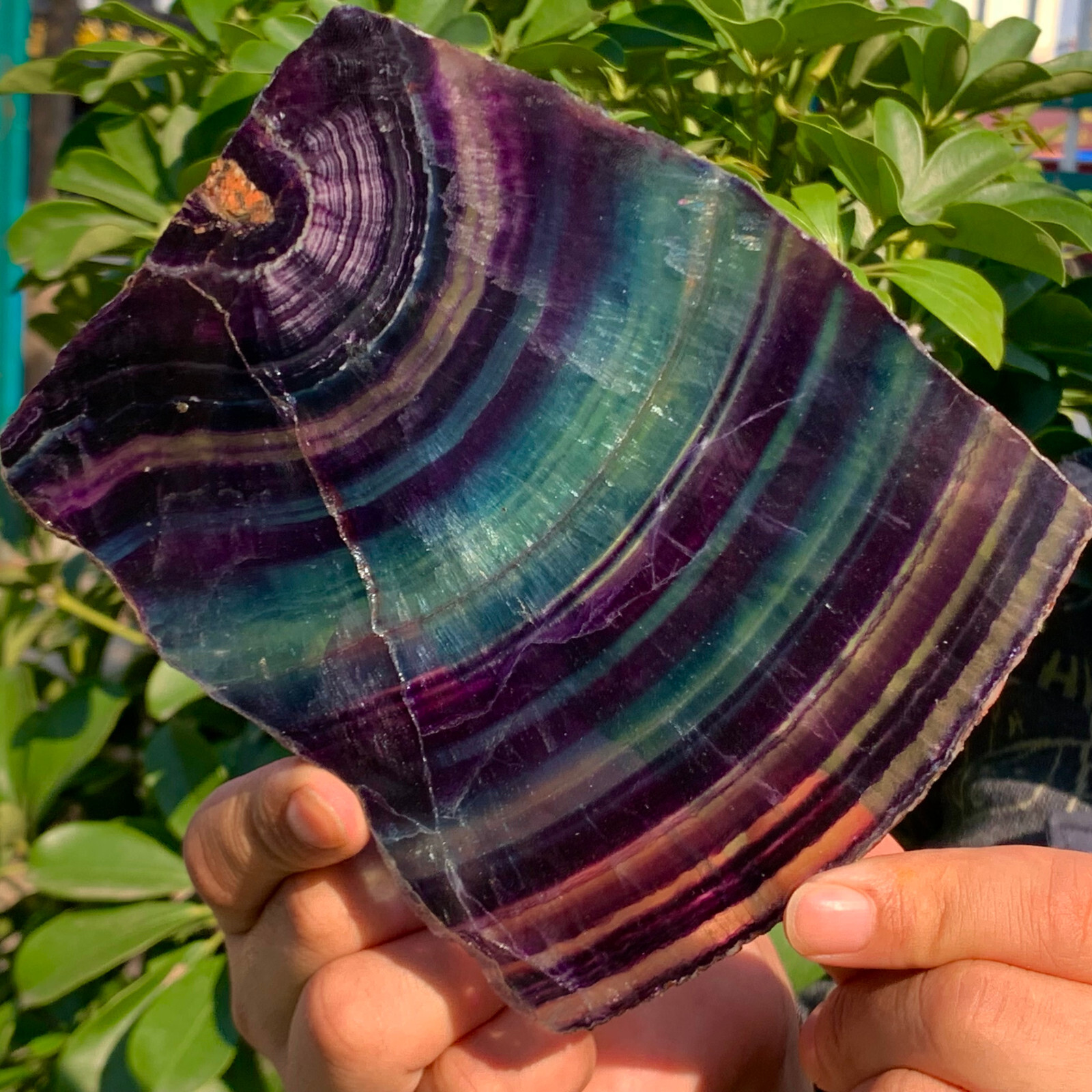 Natural Rainbow Fluorite Crystal Rough Stone Specimens 458G Healing Energy