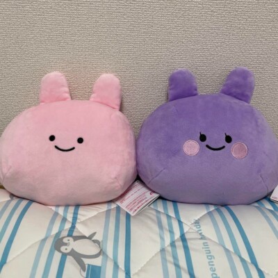 Asamimi chan Anemimi chan Shoulder Bag Set of 2 New Japan | eBay