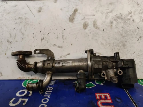 9645689780 Enfriador Egr para FORD FOCUS C-MAX (CAP)(2003) Trend (D) 98380 - Imagen 1 de 2