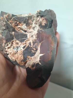 Raw Unpolished SEPTARIAN nodule   1.47 lbs   great display piece   Virginia