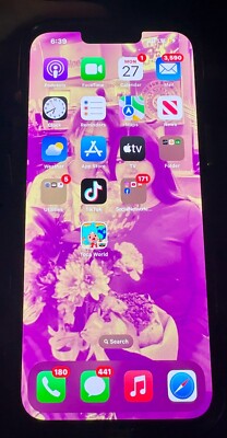 Apple iPhone 13 Pro Max - 256 GB - Gray (AT&T) Tik Tok And CapCut Installed