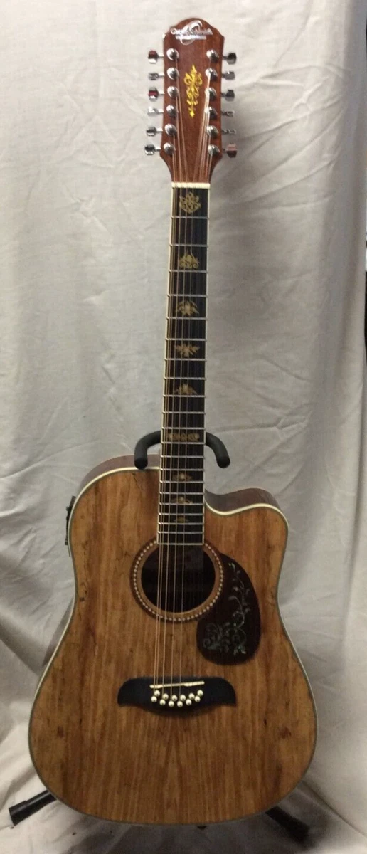 12 string washburn deals