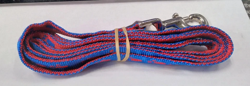 Cuatro patas de 3/4" x 6 pies de nailon de un solo grosor para perro - patas azules/rojas Foto 2 de 3