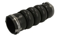 Thermotec DCC054TT Ladeluftschlauch FüR CitroËN, Ds, Peugeot