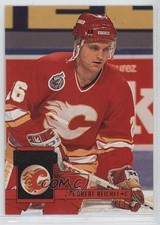 1993-94 Donruss Robert Reichel #51 0a4