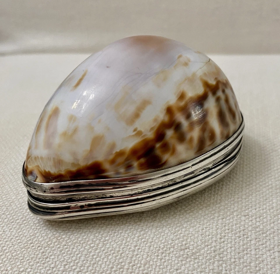 Antigua caja de rapé Cowrie Shell montada en plata siglo XVIII dorada Art Nouveau Foto 2 de 4