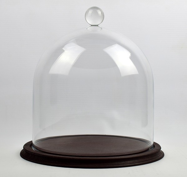 Clear Circular Glass Dome With Knob and Brown Vintage Wooden Base H:34x 30 cm