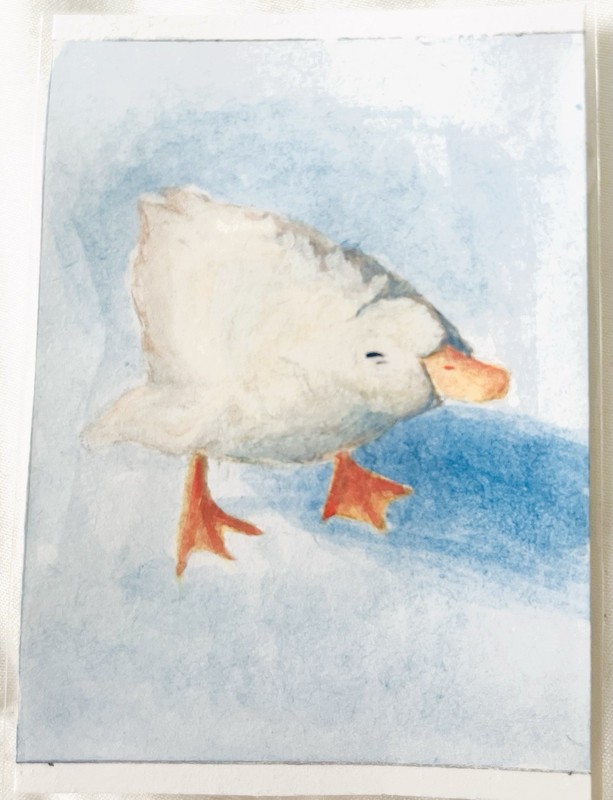 ACEO Animal Duck Original Watercolor Painting on Paper Signed 2026
