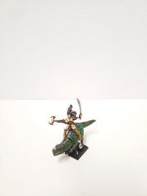 Dark Elf Elves Witch Sorceress Mounted Hexe Beritten Dunkelelfen Warhammer