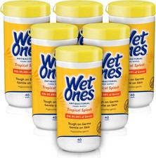 Antibacterial Hand Wipes, Tropical Splash, 40 ct Canister 6 Pack  Hand