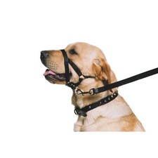 Ancol Dog Puppy Training Halter No Pull Head Harness Lead Collar Training Halti