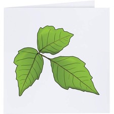 Grußkarten "Poison Ivy" (GC046510)