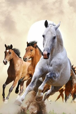 Horses Running Quick Animal Photo Painting Print Wall Art Home - POSTER 20x30