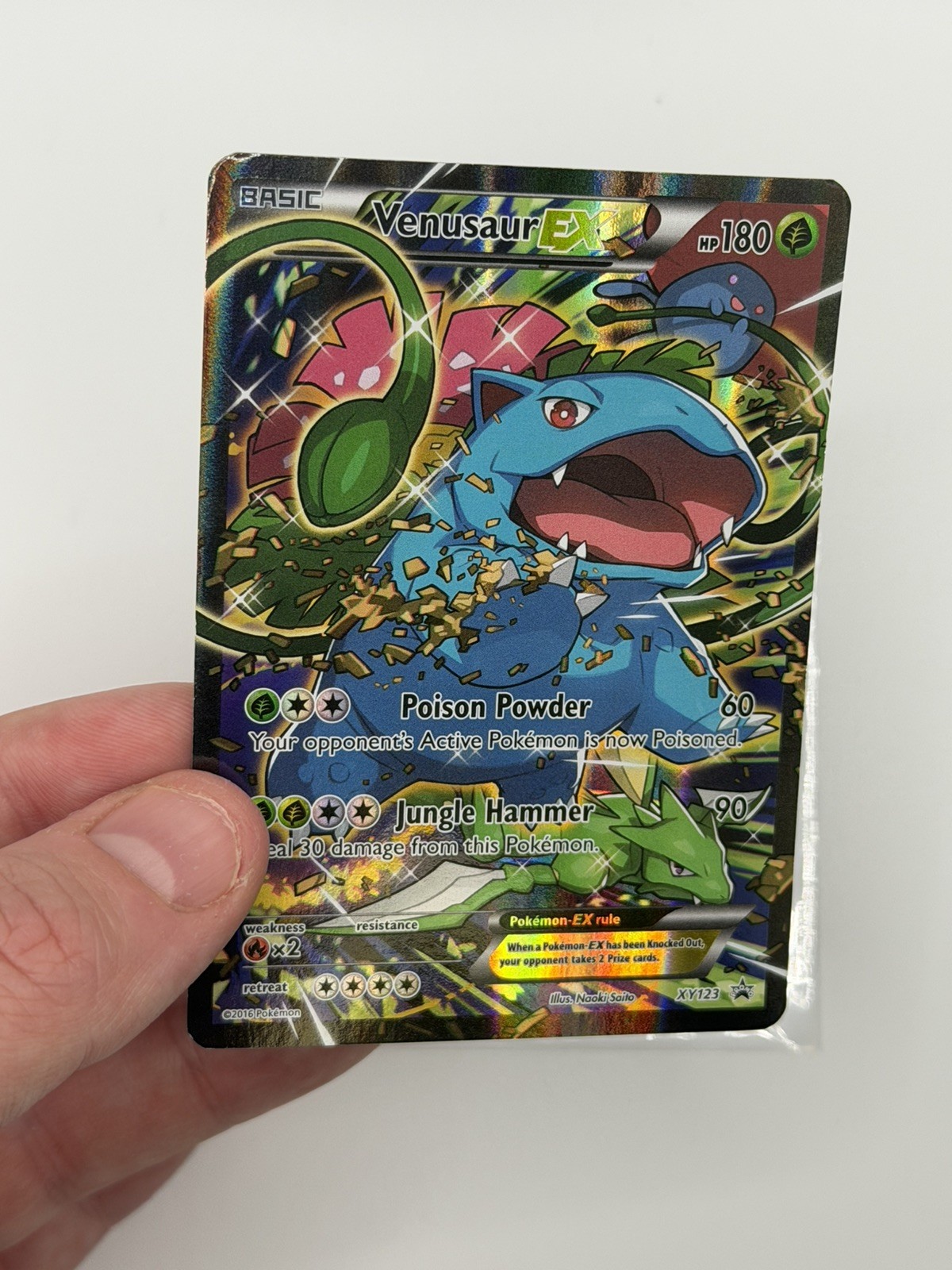 Venusaur EX XY123 - Pokemon Black Star Promo Holo Full Art - Pokémon TCG