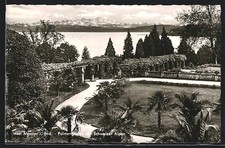 Insel Mainau i. Bod., Palmengarten mit Schweizer Alpen, Ansichtskarte 1955 