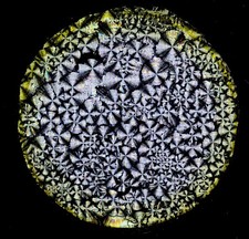 Amos Topping Antique Microscope Slide. Crystals of Eno's Fruit Salts