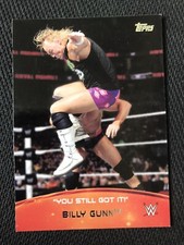 2015 Topps WWE Crowd Chants You Still Got It! #9 Billy Gunn