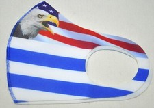 US Flag Eagle Stars and Stripes Patriotic Face Mask W/ Filter Washable Reusable