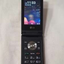 LG Y110 Gold Flip Phone - Fully Functional, Unlocked