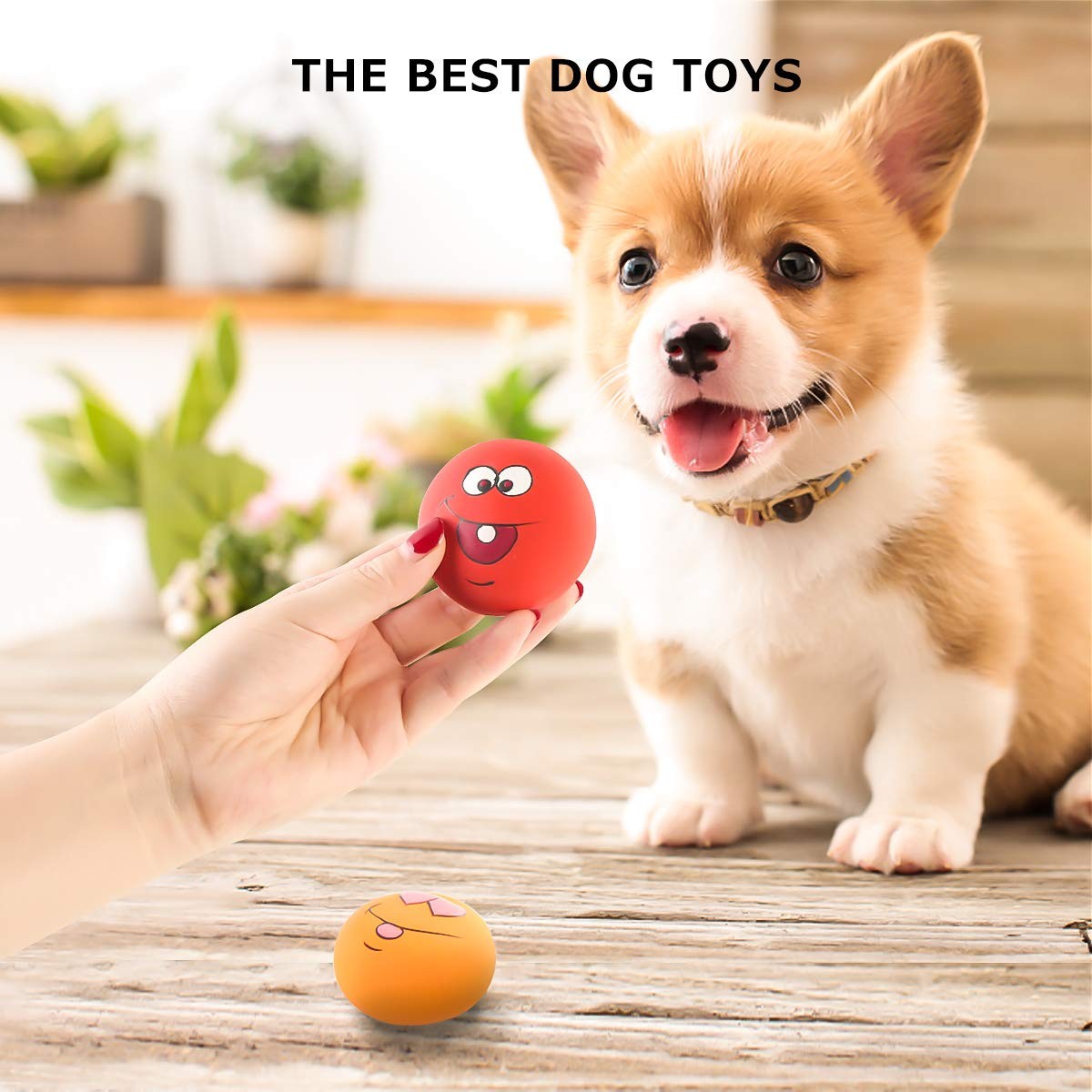 Jouets couinement pour chiens en latex souple et résistant - 3