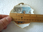 Vintage Small "Cut Out Smokin " Change / Trinket Dish " Great Rare Collectible " — photo 3