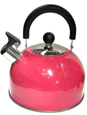 Edelstahl Pfeifherd Camping Wasserkocher 2,5 L mit Phenolgriff