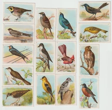 Set 1914 Church & Dwight's Arm & Hammer Cow Brand Soda Useful Birds Trade Cards