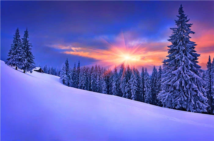 Snow wallpaper online