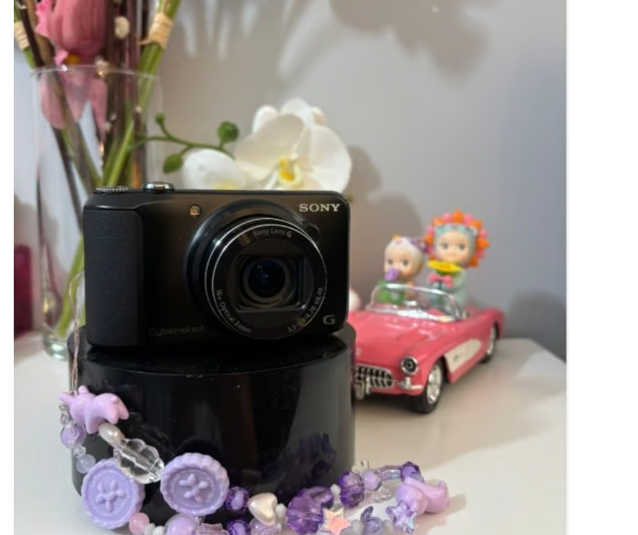 SONY　Cyber-Shot HX　DSC-HX10V Sony Cyber-shot DSC-HX10V review: Sony Cyber-shot DSC-HX10V - CNET