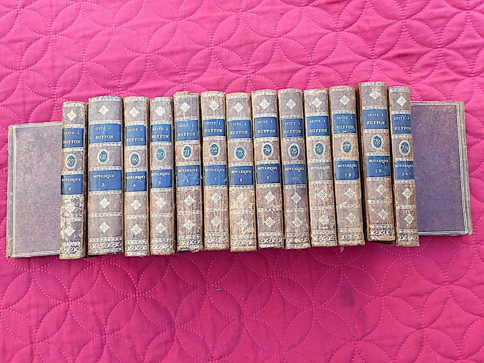 BOTANIQUE Histoire naturelle VEGETAUX LAMARCK 15/15 1803 avec 119 PLANCHES A7 - Photo 3/4