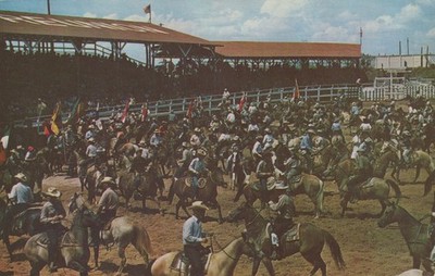 Vintage Nebraska Rodeo Chrome Postcard Cowboys & Cowgirls Bucking Horses