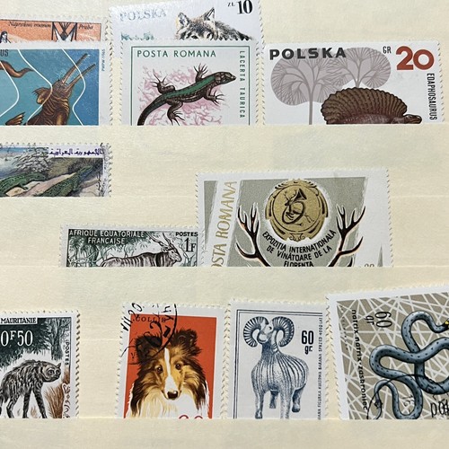 WORLDWIDE ANIMAL STAMPS LOT IN STOCK PAGE REPTILES, CATS, DOGS, HORNED & MORE - Picture 9 of 10