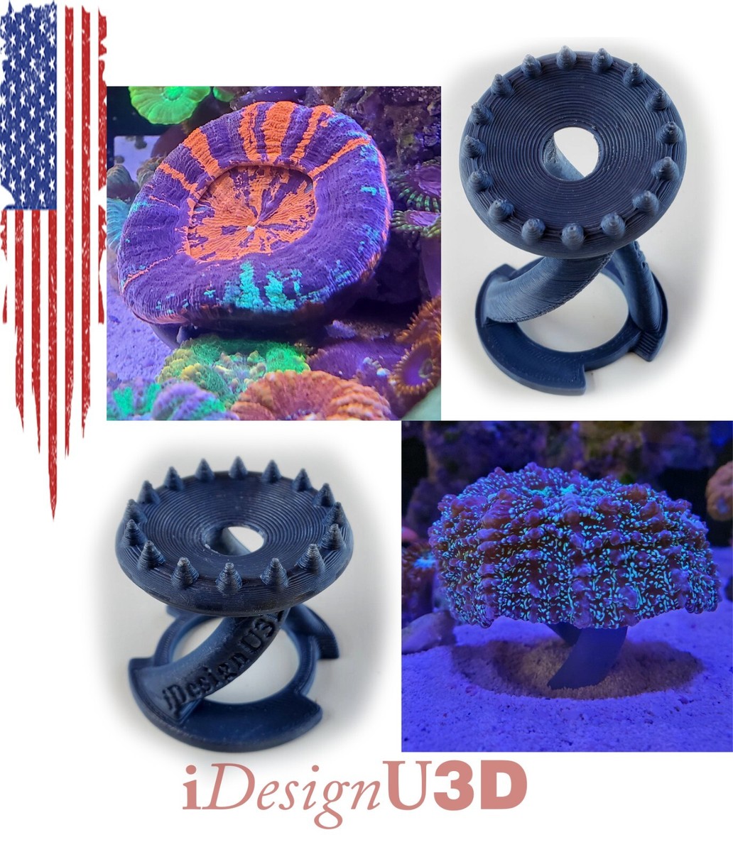 Scolymia Stand, Trachyphyllia Stand, Acantho Stand, Wellso stand