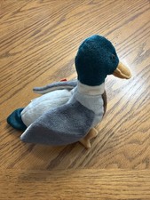 Ty Beanie Baby Jake the Mallard Duck Plush Toy